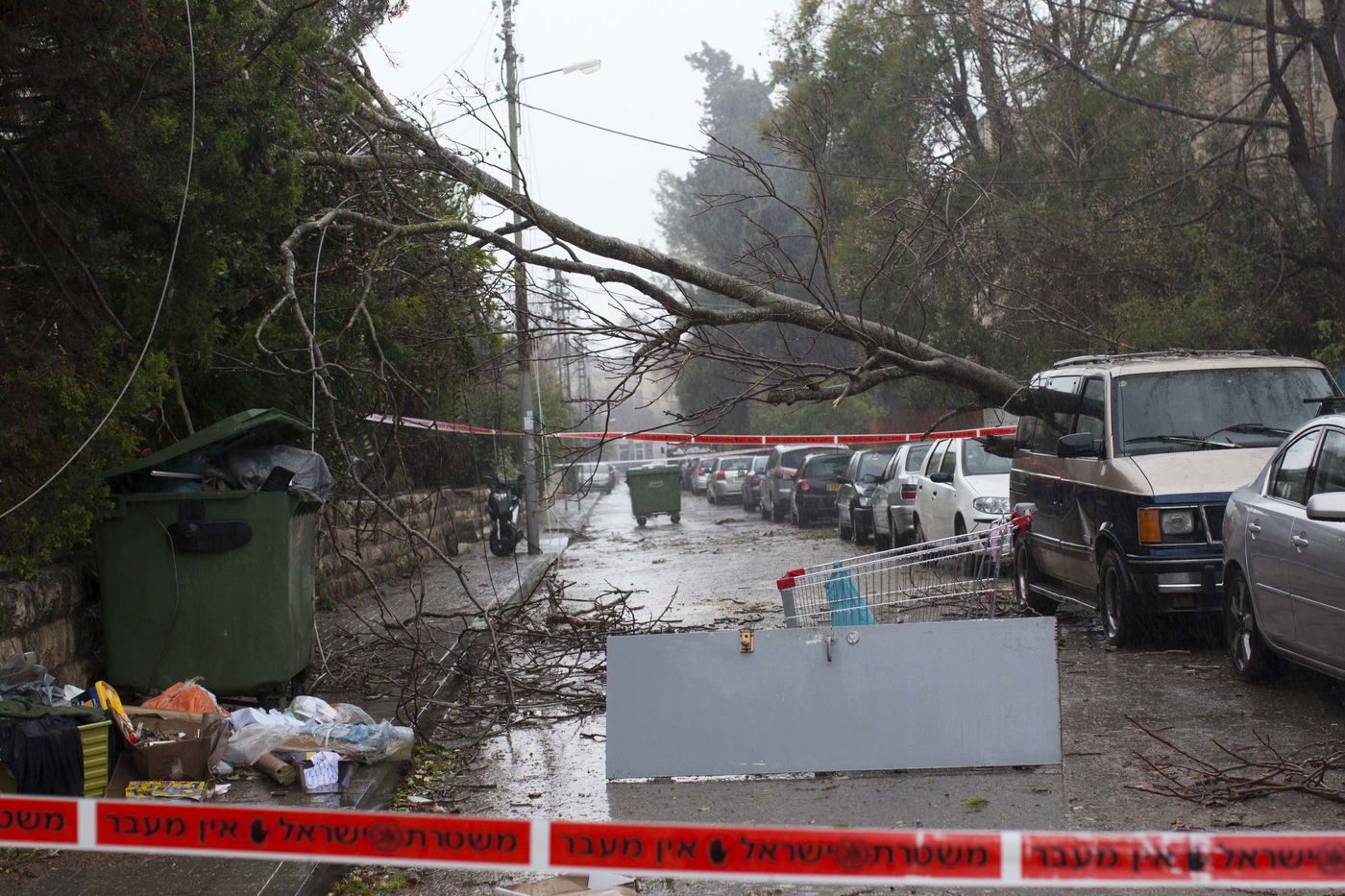 רוחות עזות וגשם סוער • תמונות מנזקי הסופה