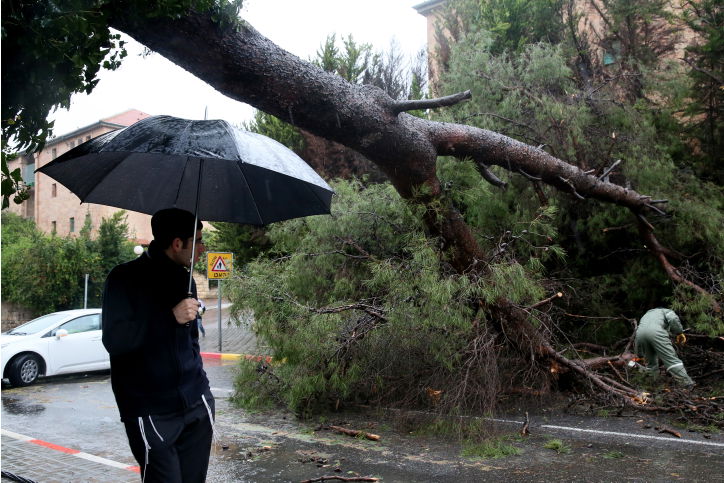 רוחות עזות וגשם סוער • תמונות מנזקי הסופה