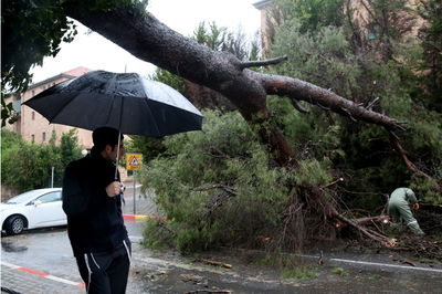 רוחות עזות וגשם סוער • תמונות מנזקי הסופה