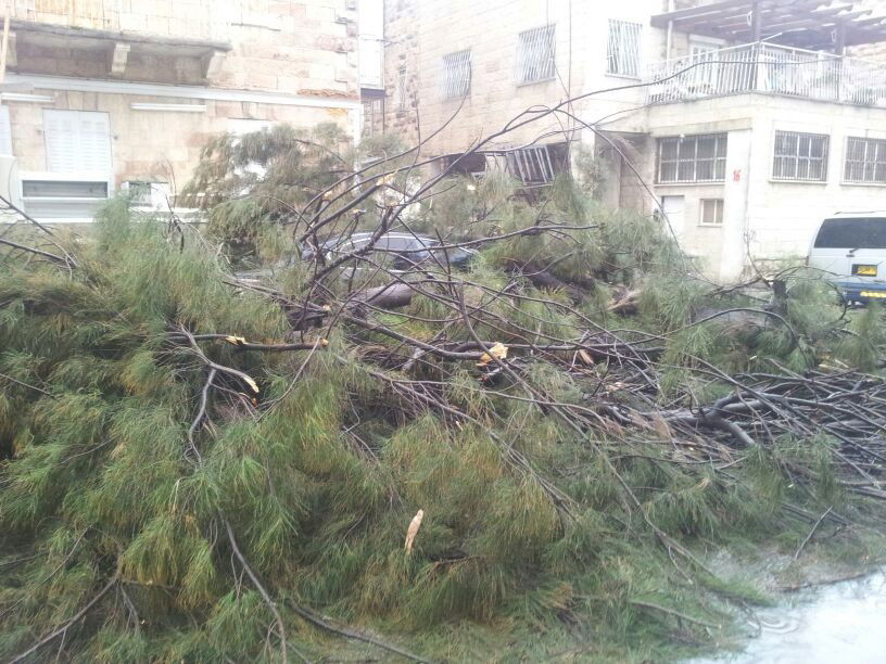 רוחות עזות וגשם סוער • תמונות מנזקי הסופה