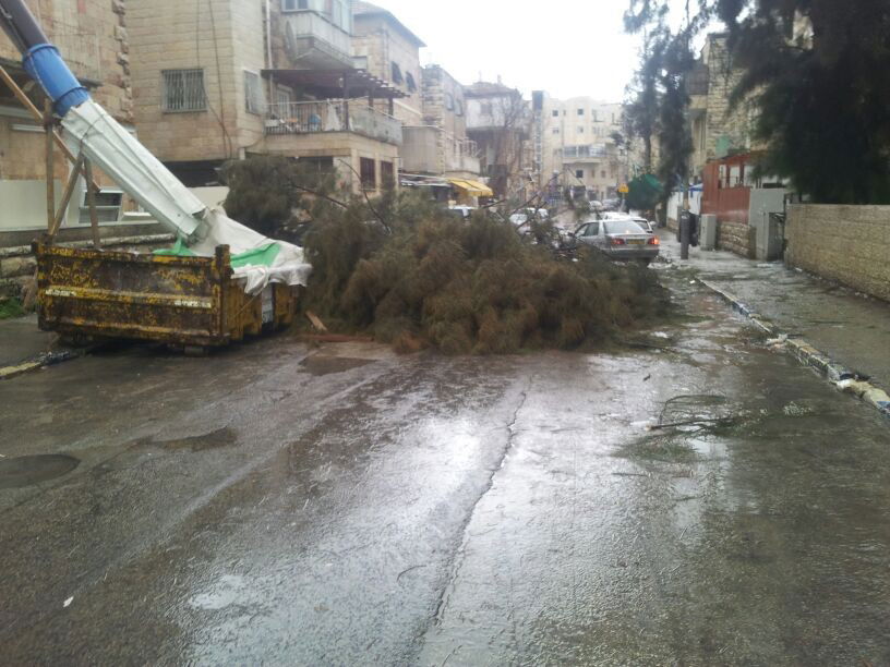 רוחות עזות וגשם סוער • תמונות מנזקי הסופה
