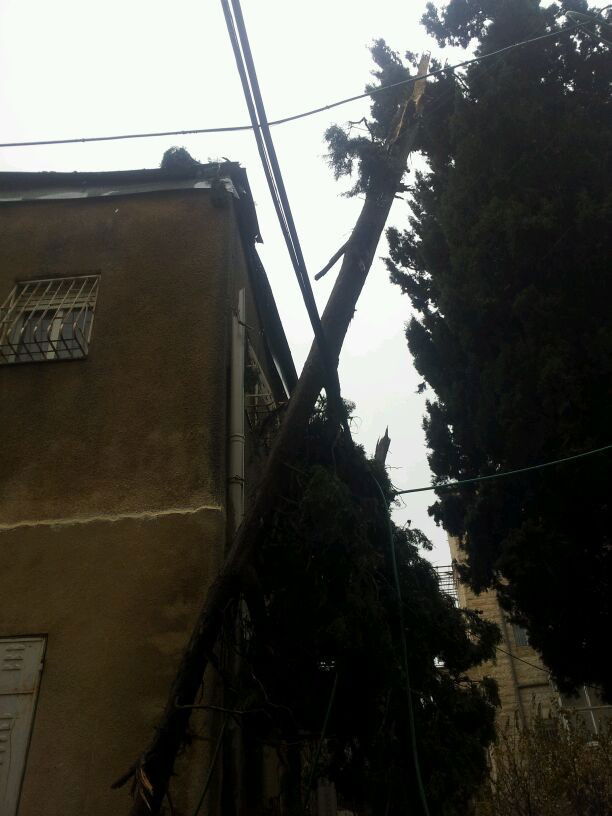 רוחות עזות וגשם סוער • תמונות מנזקי הסופה