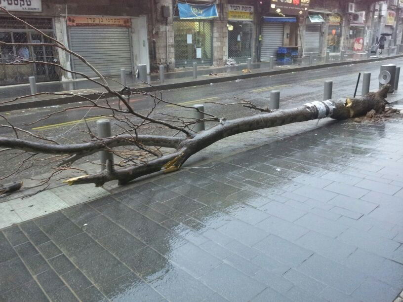 רוחות עזות וגשם סוער • תמונות מנזקי הסופה