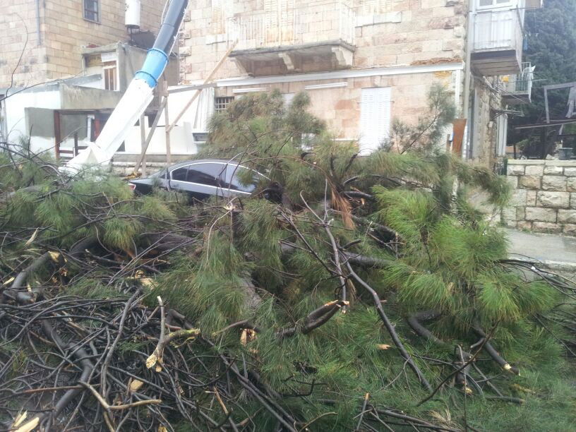 רוחות עזות וגשם סוער • תמונות מנזקי הסופה