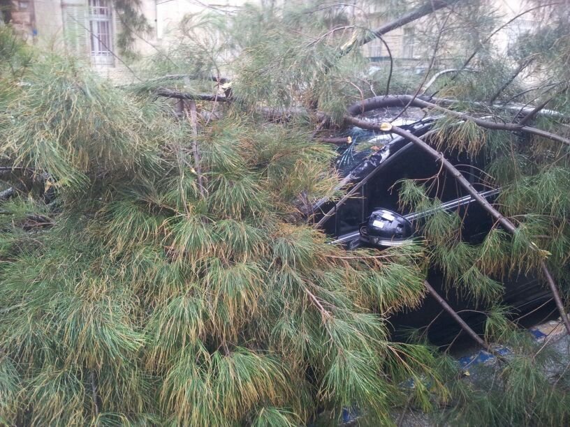 רוחות עזות וגשם סוער • תמונות מנזקי הסופה