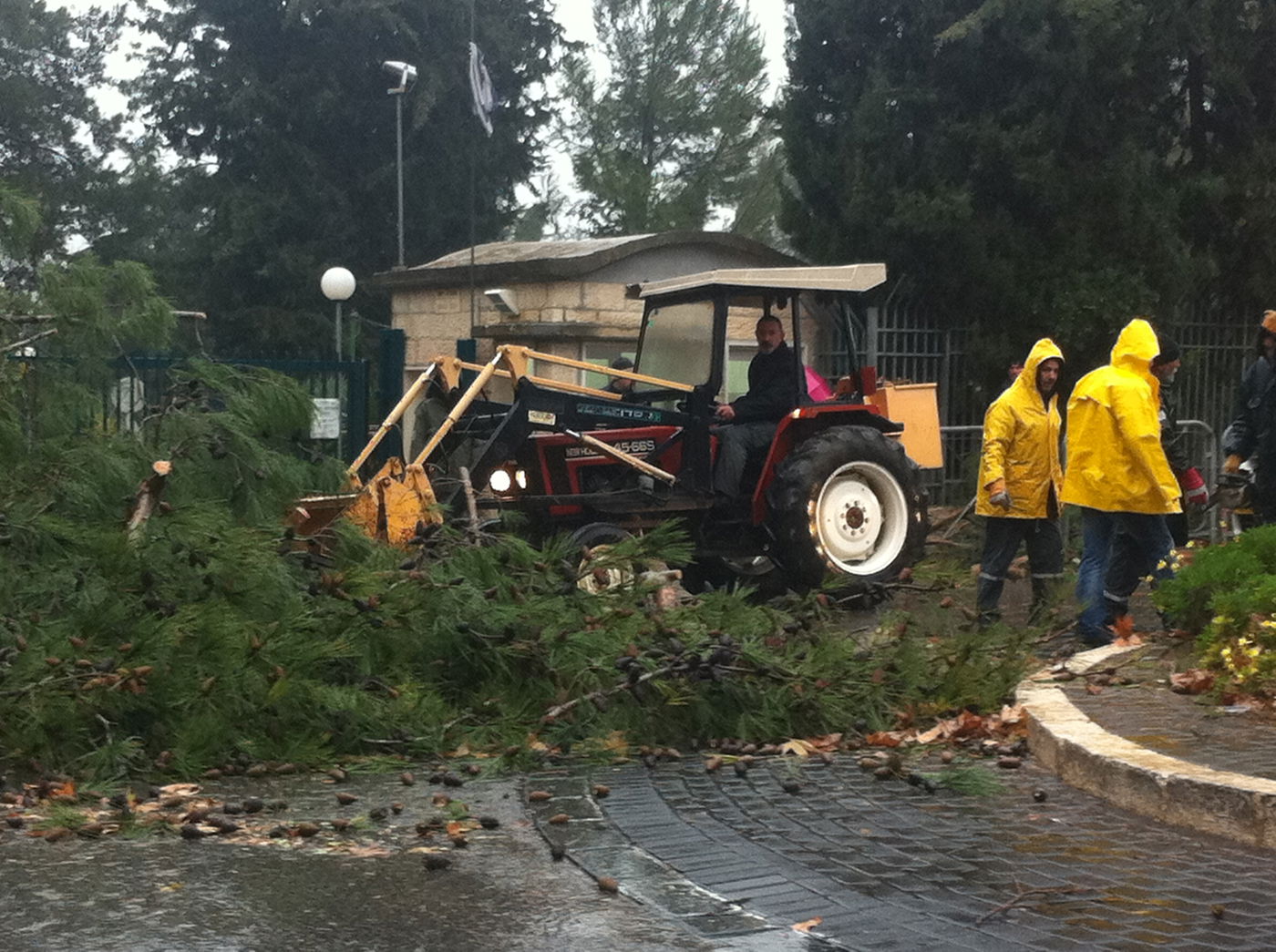 רוחות עזות וגשם סוער • תמונות מנזקי הסופה