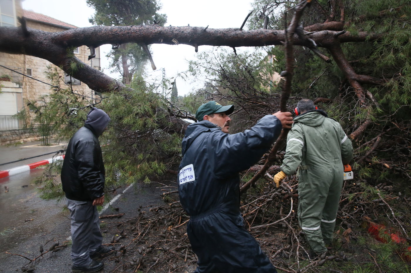 רוחות עזות וגשם סוער • תמונות מנזקי הסופה