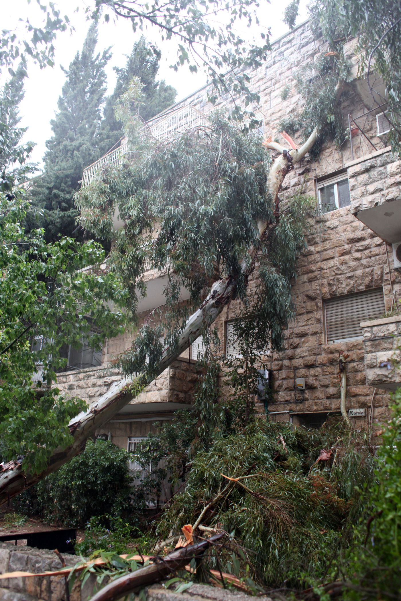 רוחות עזות וגשם סוער • תמונות מנזקי הסופה