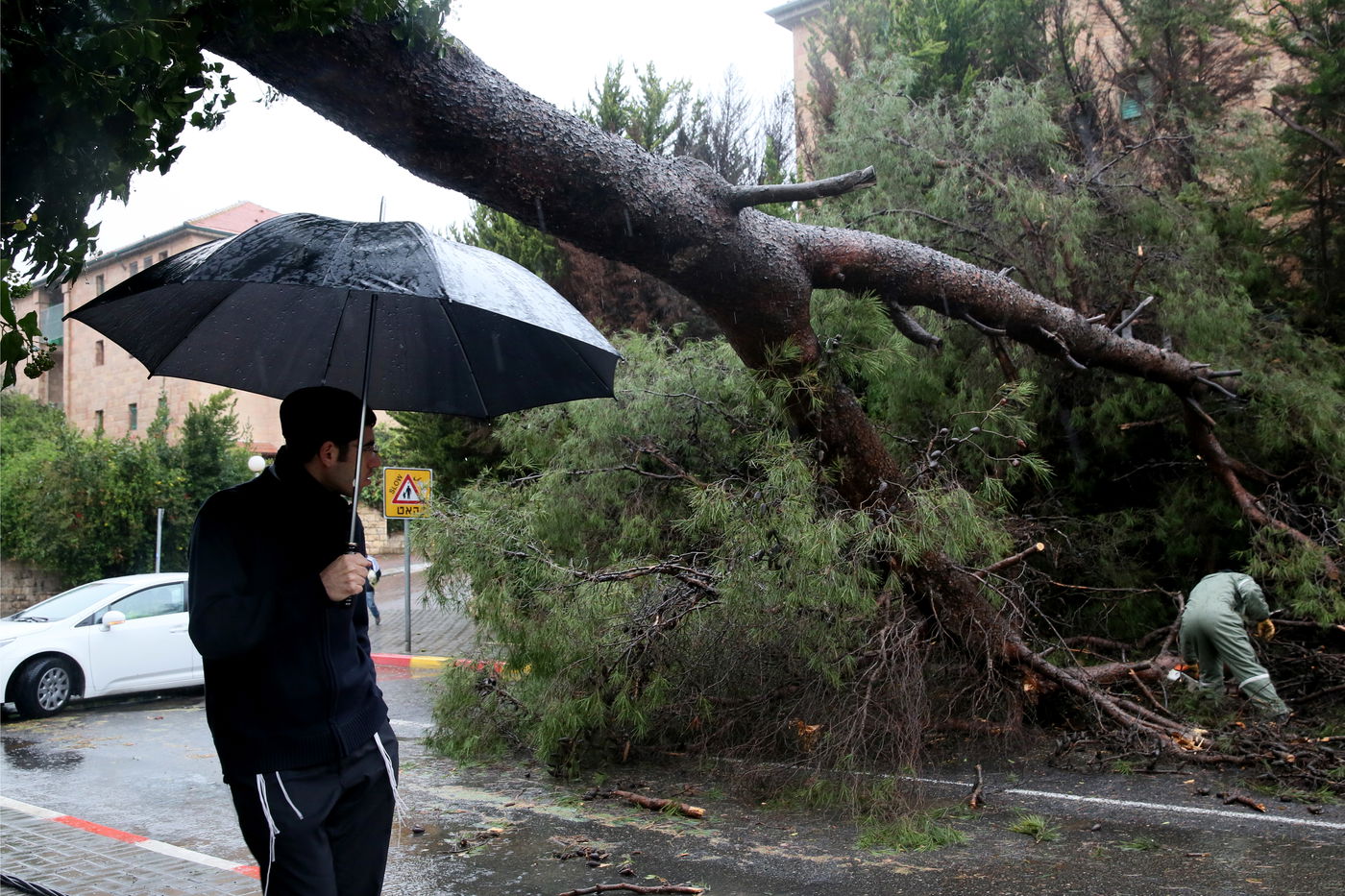 רוחות עזות וגשם סוער • תמונות מנזקי הסופה