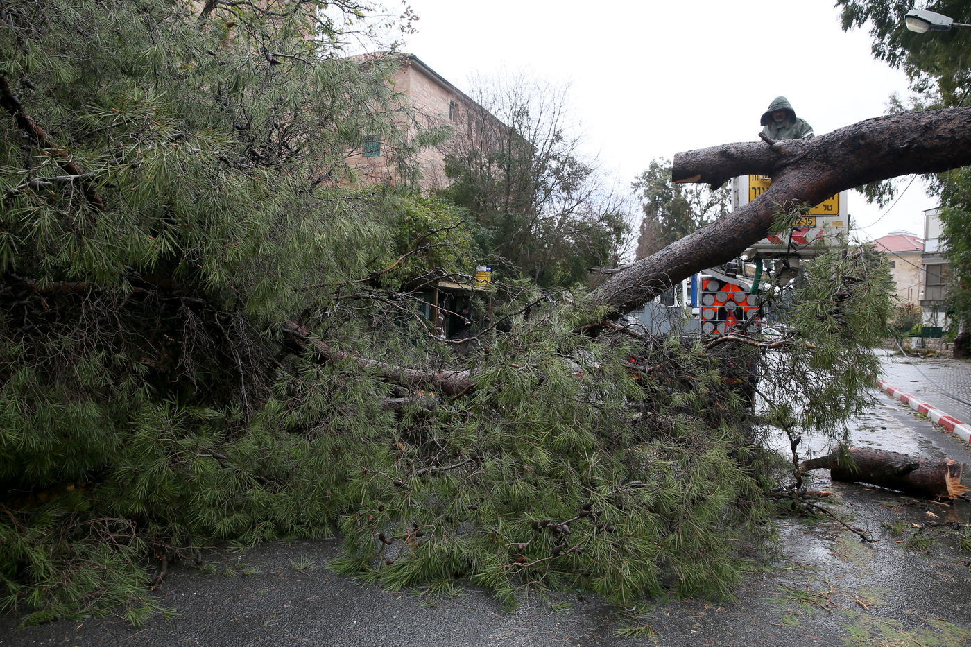 רוחות עזות וגשם סוער • תמונות מנזקי הסופה