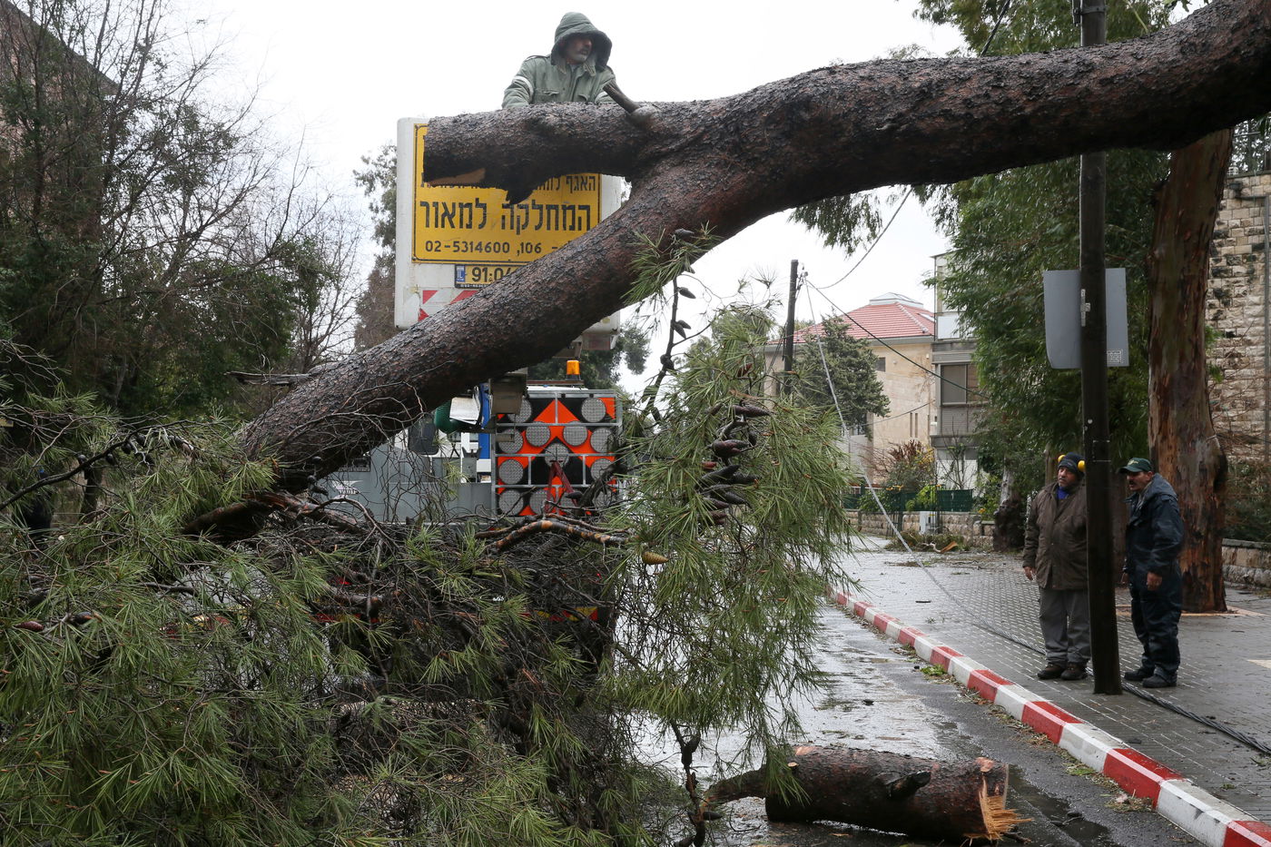 רוחות עזות וגשם סוער • תמונות מנזקי הסופה