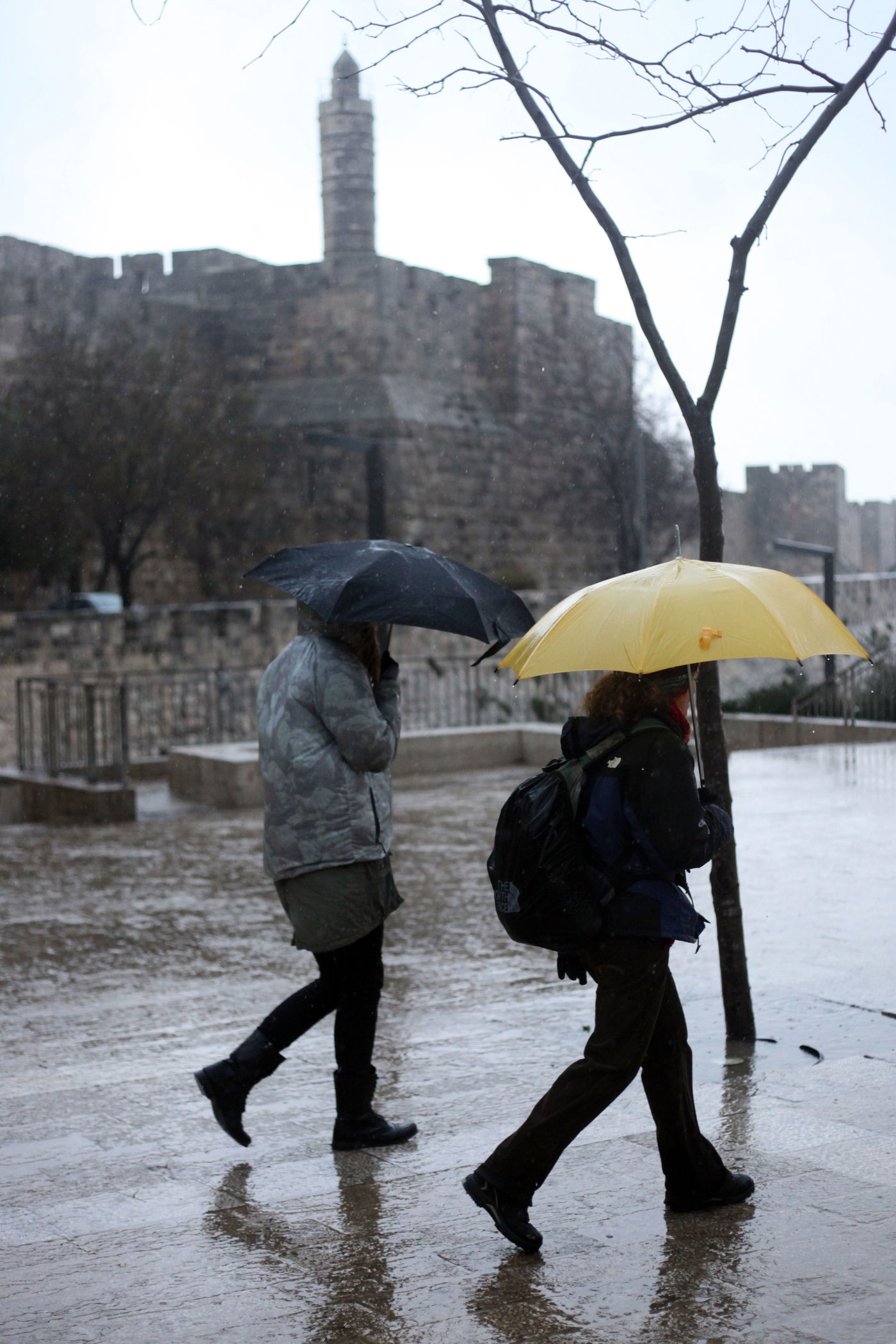 גשמי ברכה בכל רחבי הארץ • תיעוד מיוחד