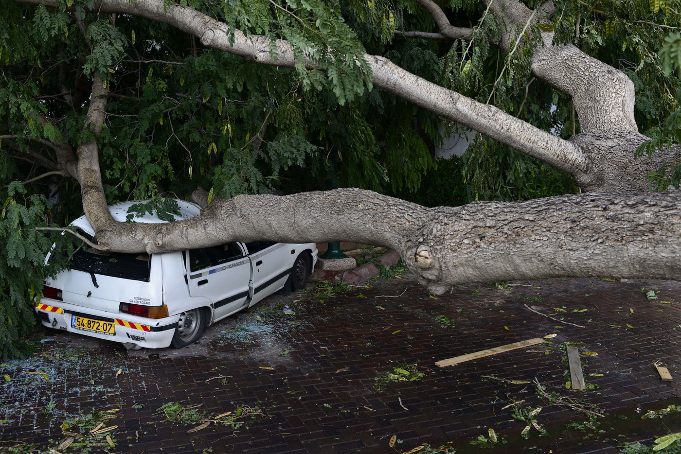 גשמי ברכה בכל רחבי הארץ • תיעוד מיוחד