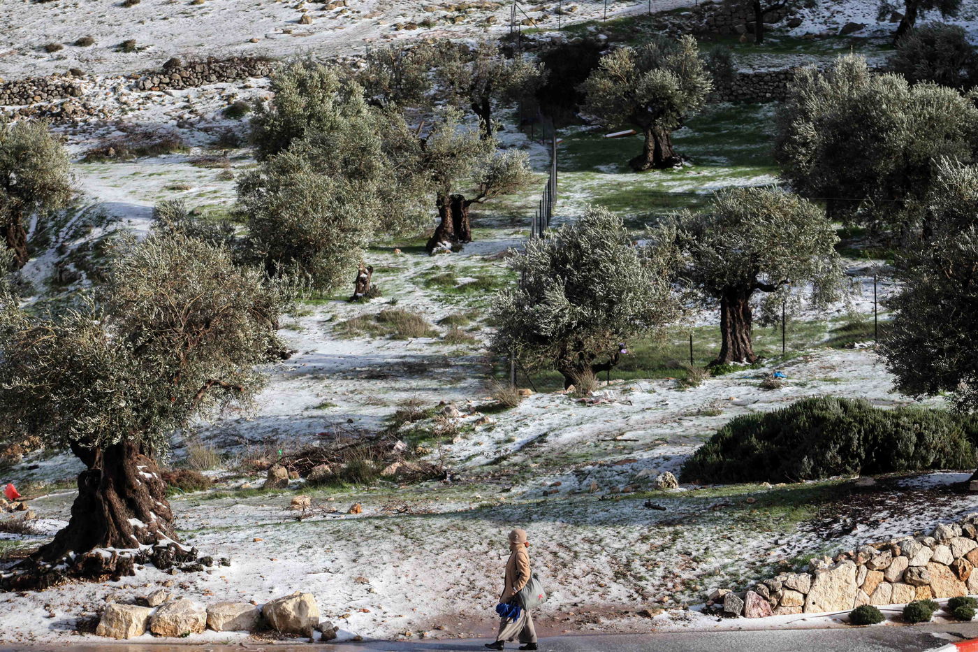 בגלל השלג: התחבורה  הציבורית בי-ם הופסקה