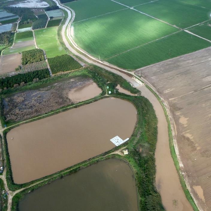 כשחדרה הפכה לונציה • תיעוד מהאוויר