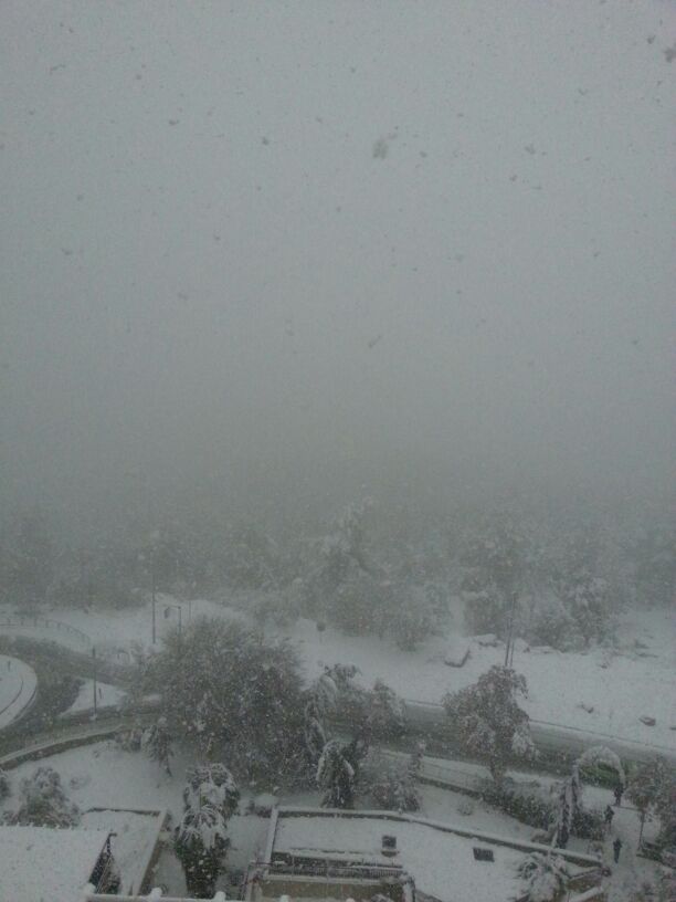 20 ס"מ שלג בירושלים; כביש 443 נפתח לתנועה