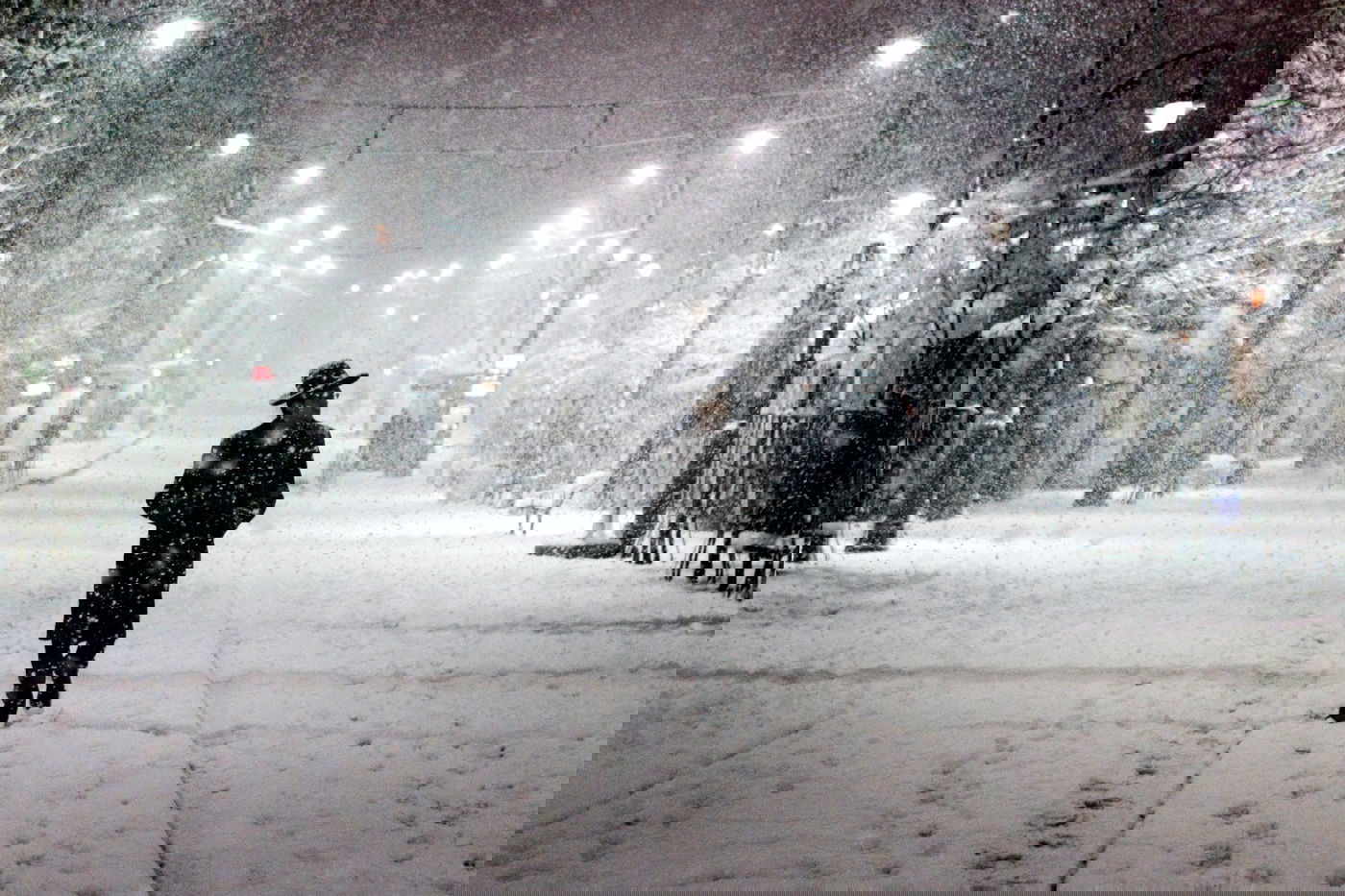 לילה לבן בירושלים • גלריה מדהימה