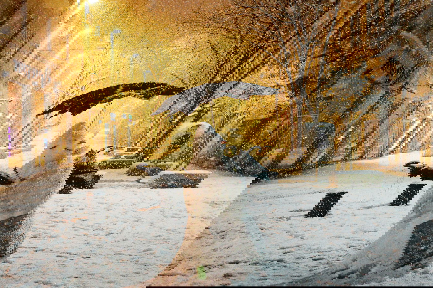 לילה לבן בירושלים • גלריה מדהימה