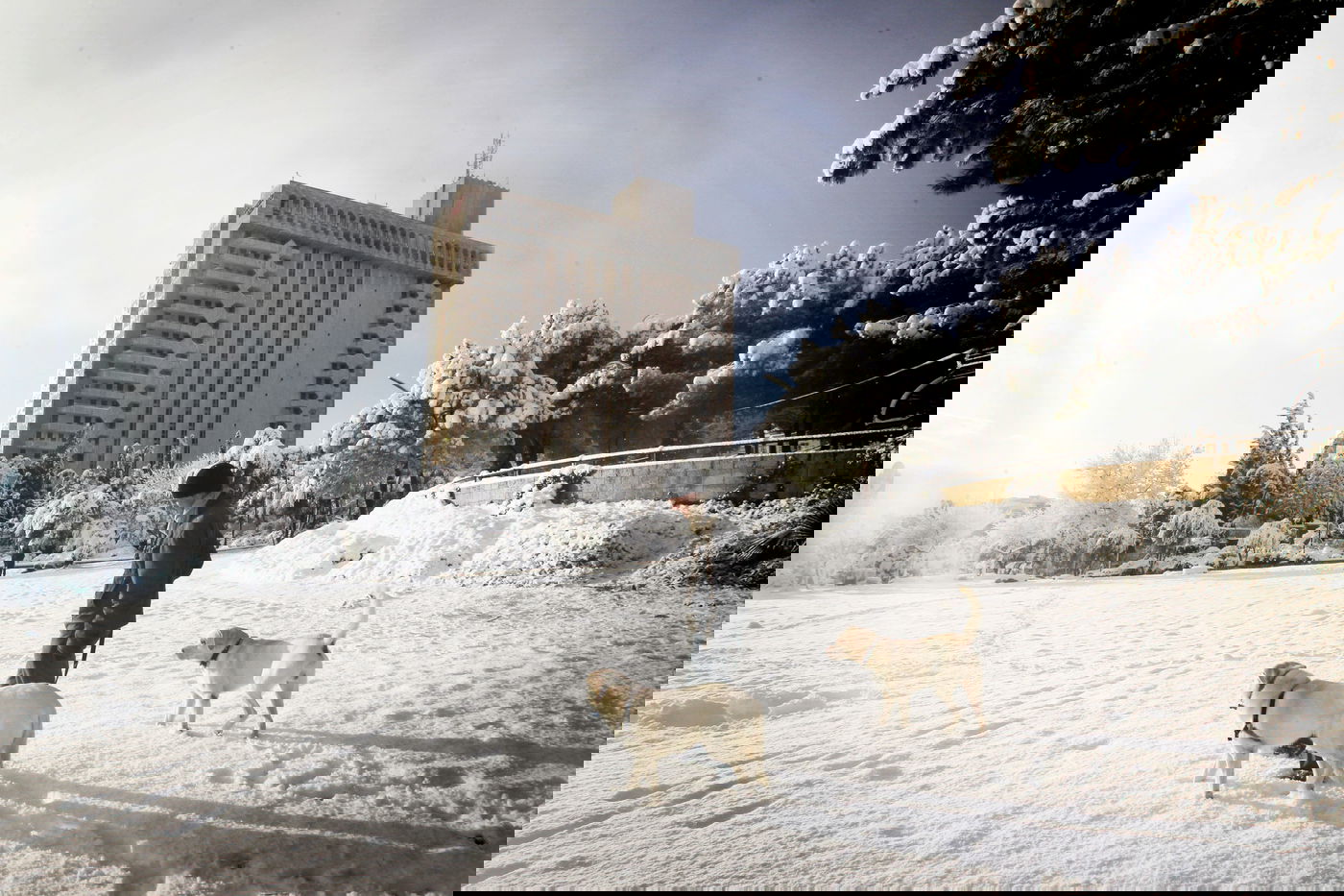 בירה בלבן • העיר ירושלים המושלגת בתיעוד מרהיב