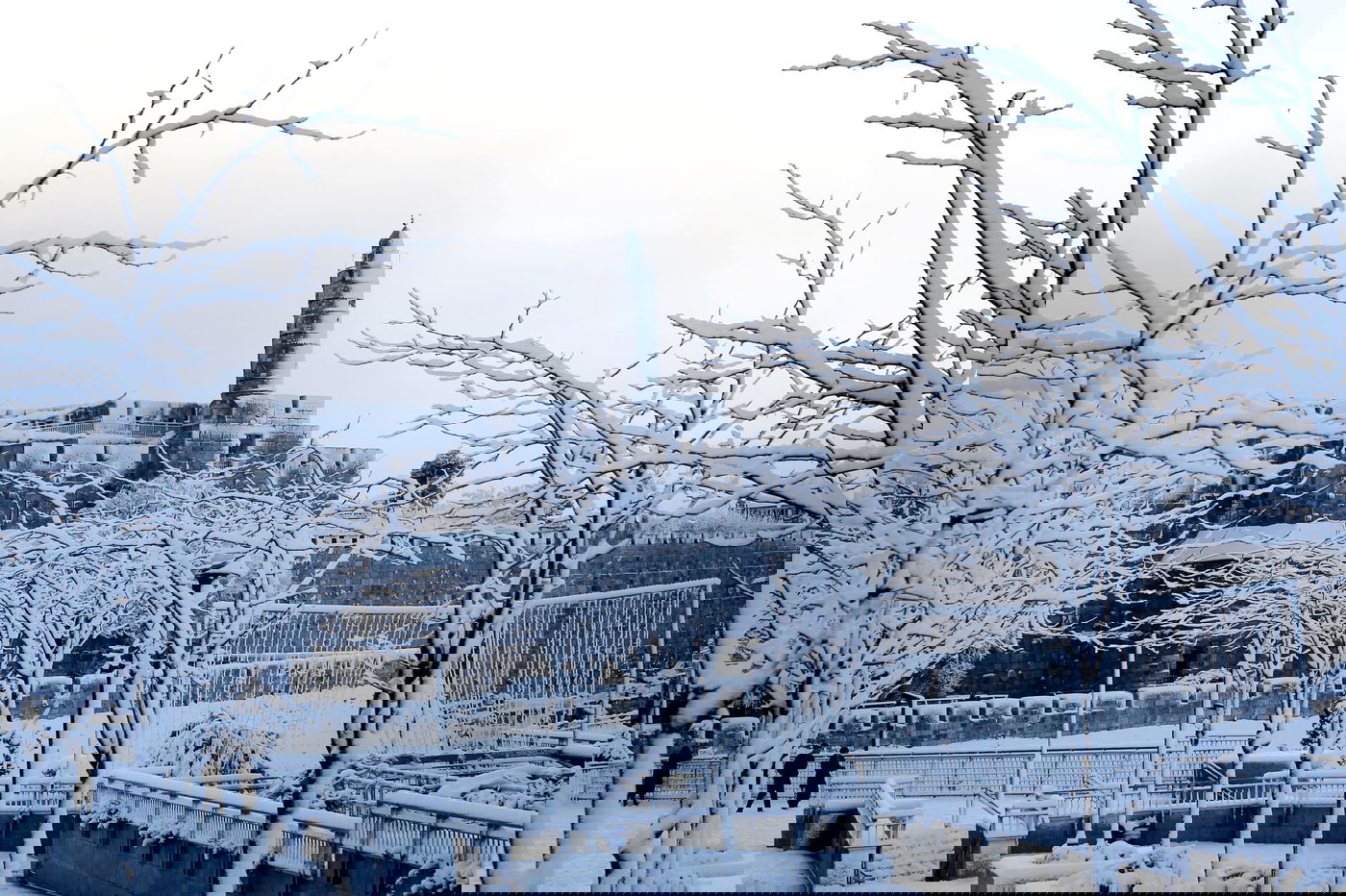 בירה בלבן • העיר ירושלים המושלגת בתיעוד מרהיב