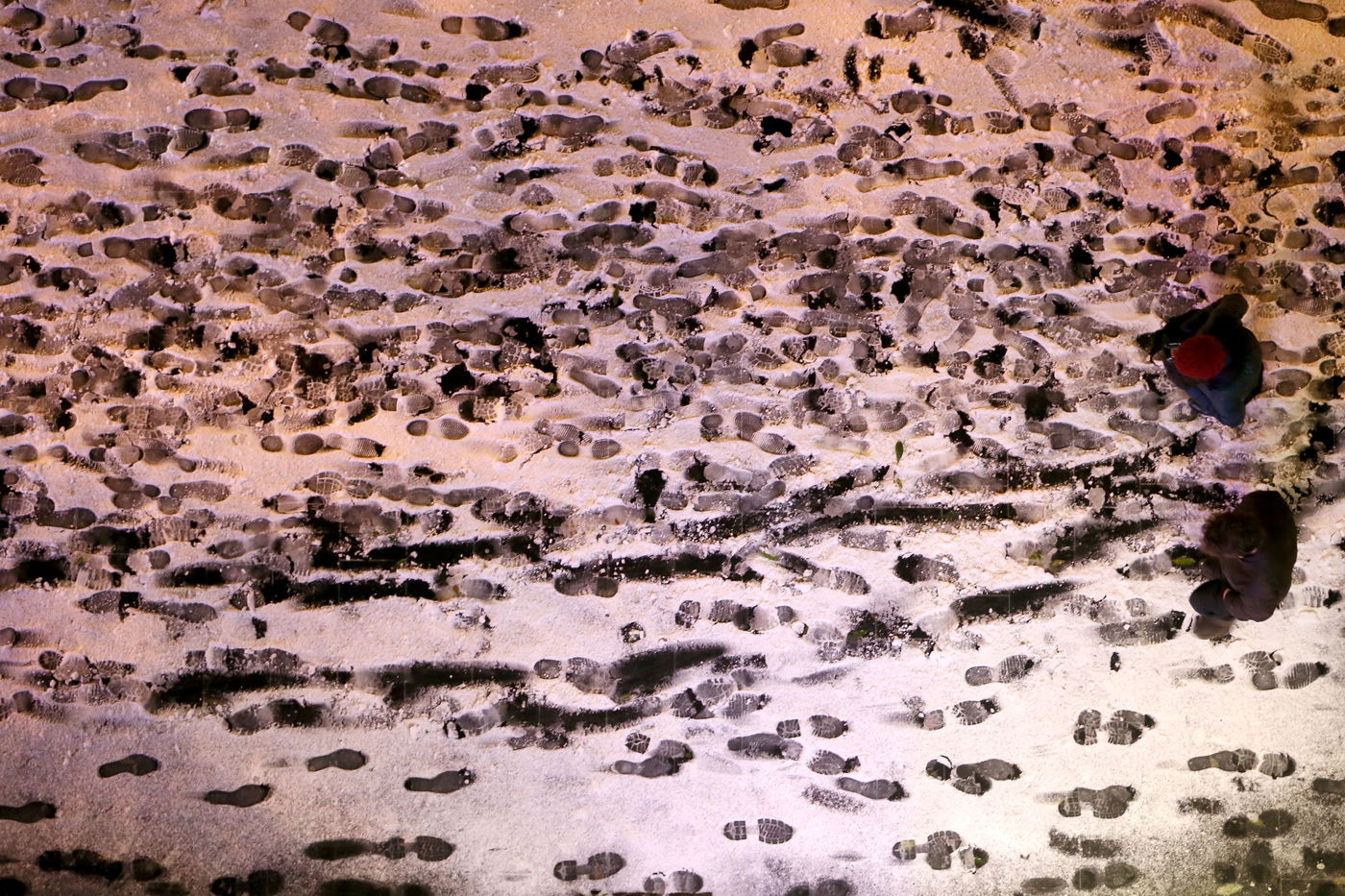 לילה לבן בירושלים • גלריה מדהימה