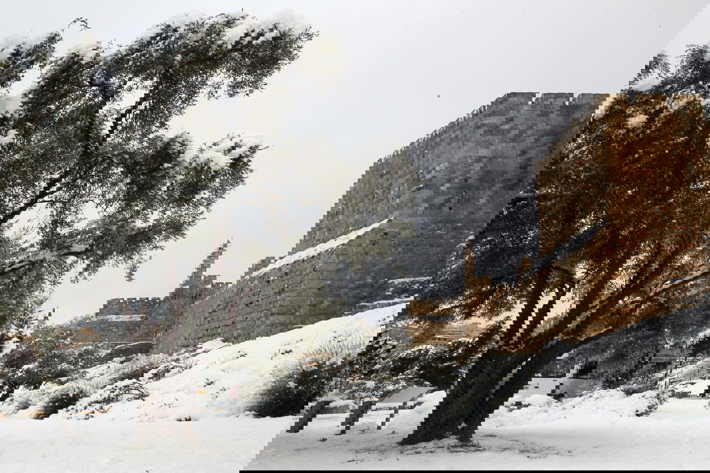 בירה בלבן • העיר ירושלים המושלגת בתיעוד מרהיב