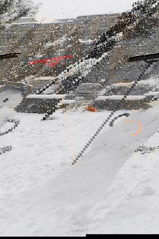 יממה לבנה בירושלים: 120 תמונות מהבירה המושלגת