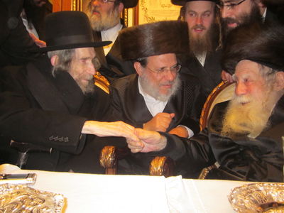 צפו: פגישת הרב שטיינמן והאדמו"ר מערלוי