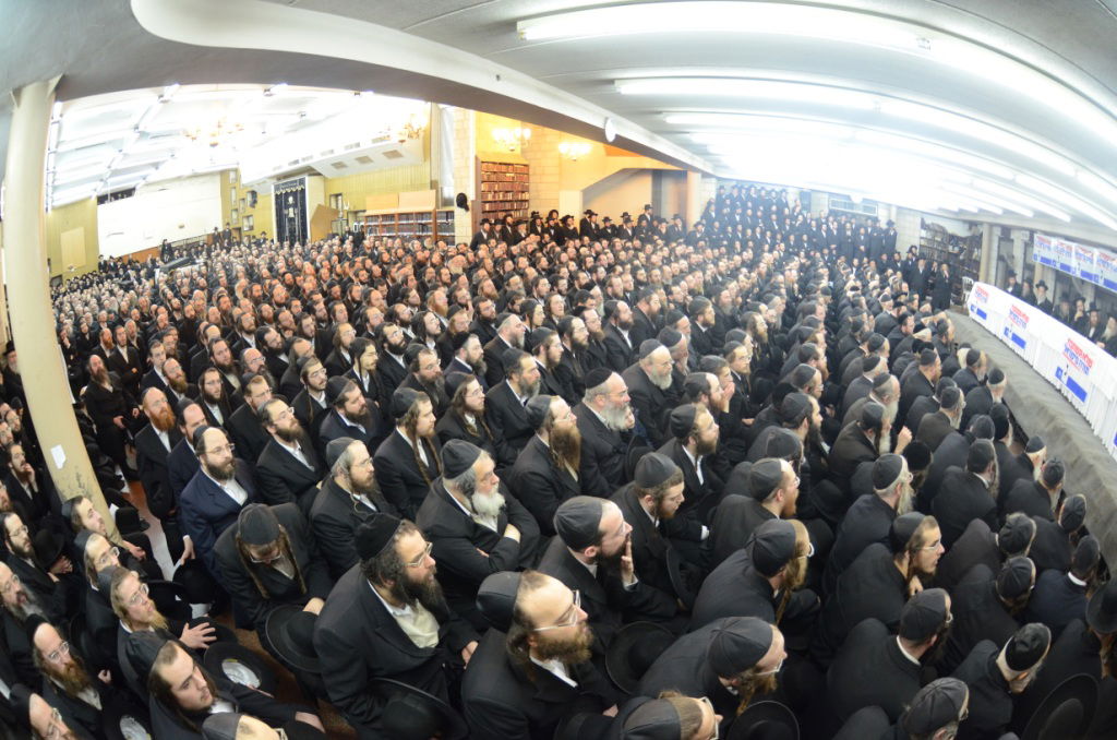 "צבא גור" מתגייס למען יהדות התורה