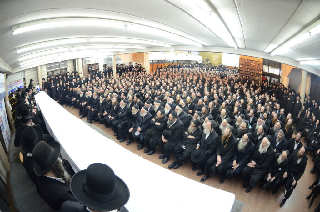 "צבא גור" מתגייס למען יהדות התורה