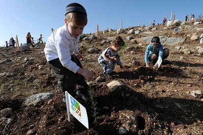 ילדים נוטעים