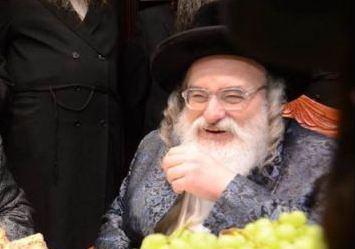 מה הוביל לתמיכת 'מרכז חסידי ויז'ניץ' ב'יהדות התורה'?