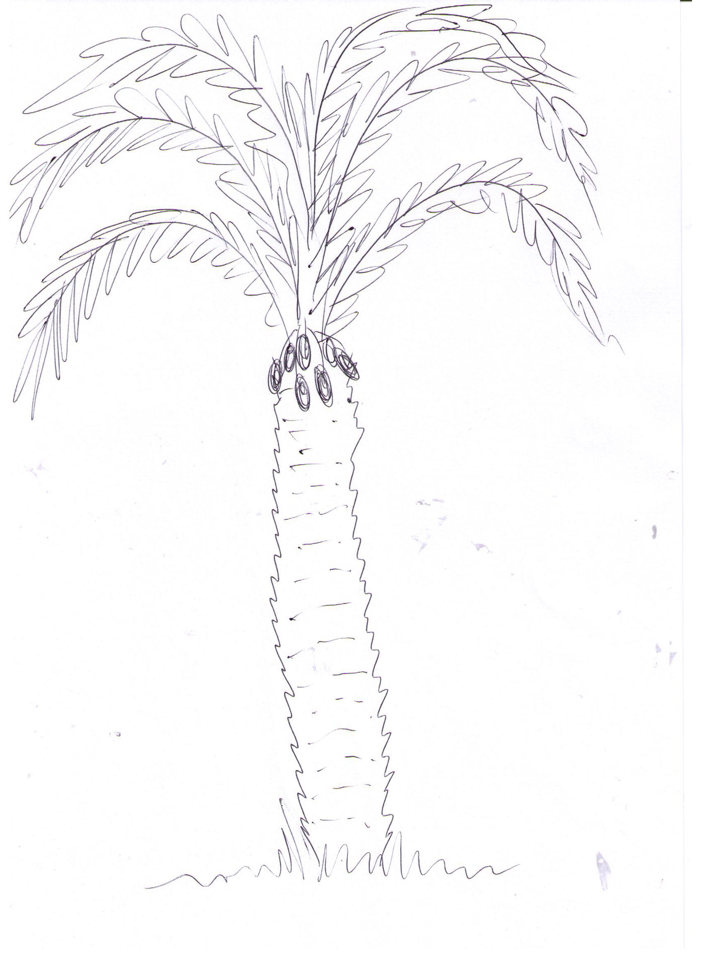 האדם עץ השדה: עץ כמקור פסיכולוגי בגרפולוגיה