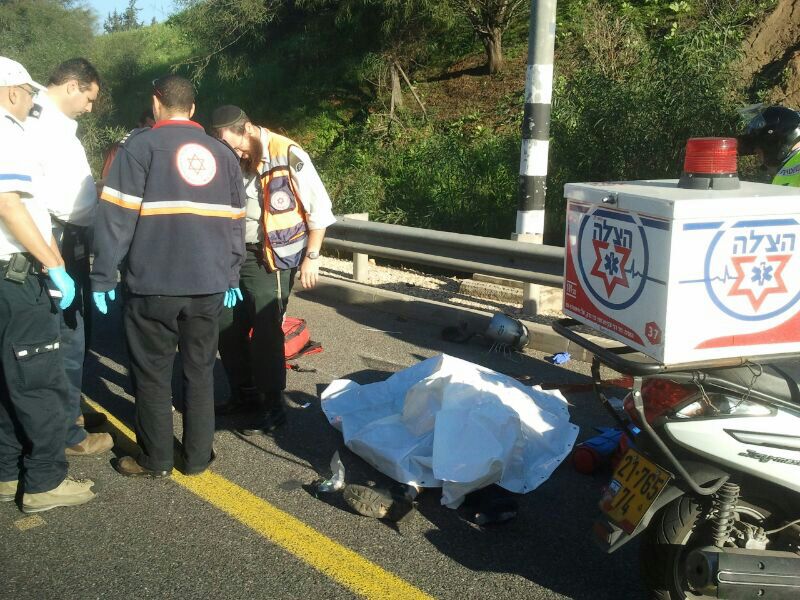 רוכב אופנוע התנגש במשאית ונהרג