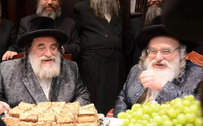 האחים מויז'ניץ