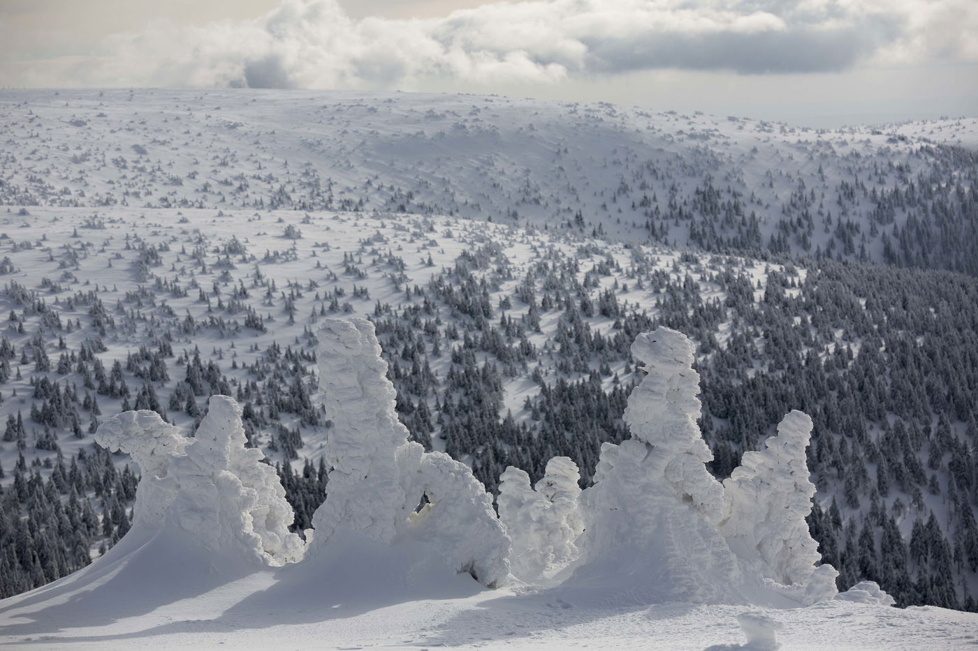 צ'כיה המושלגת: גלריה מרהיבה