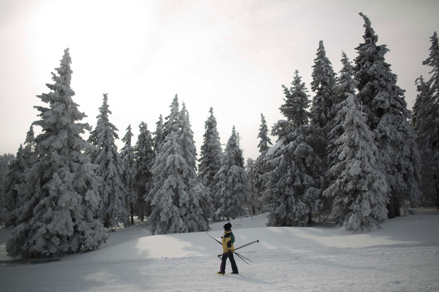 צ'כיה המושלגת: גלריה מרהיבה