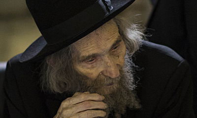 אין פשרה. מרן הגראי"ל שטיינמן