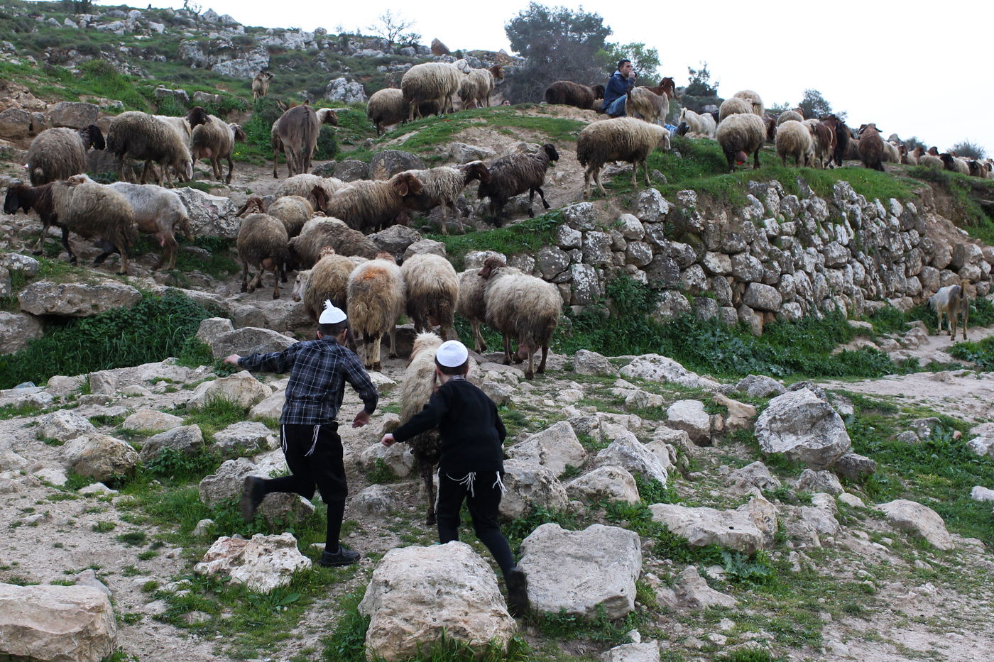 תיעוד מיוחד: שאיבת "מים שלנו" לקראת חג הפסח