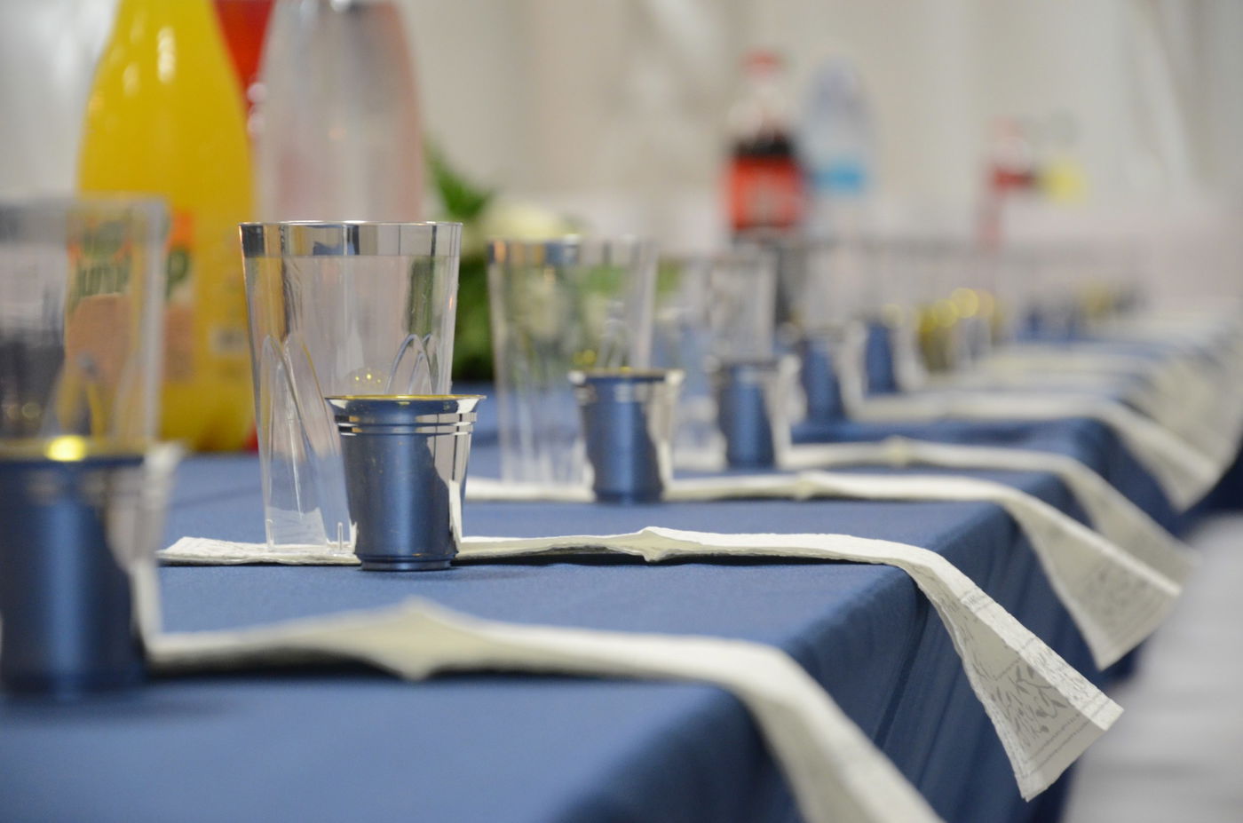 וועידת "בני היכלא" של צאנז • תיעוד