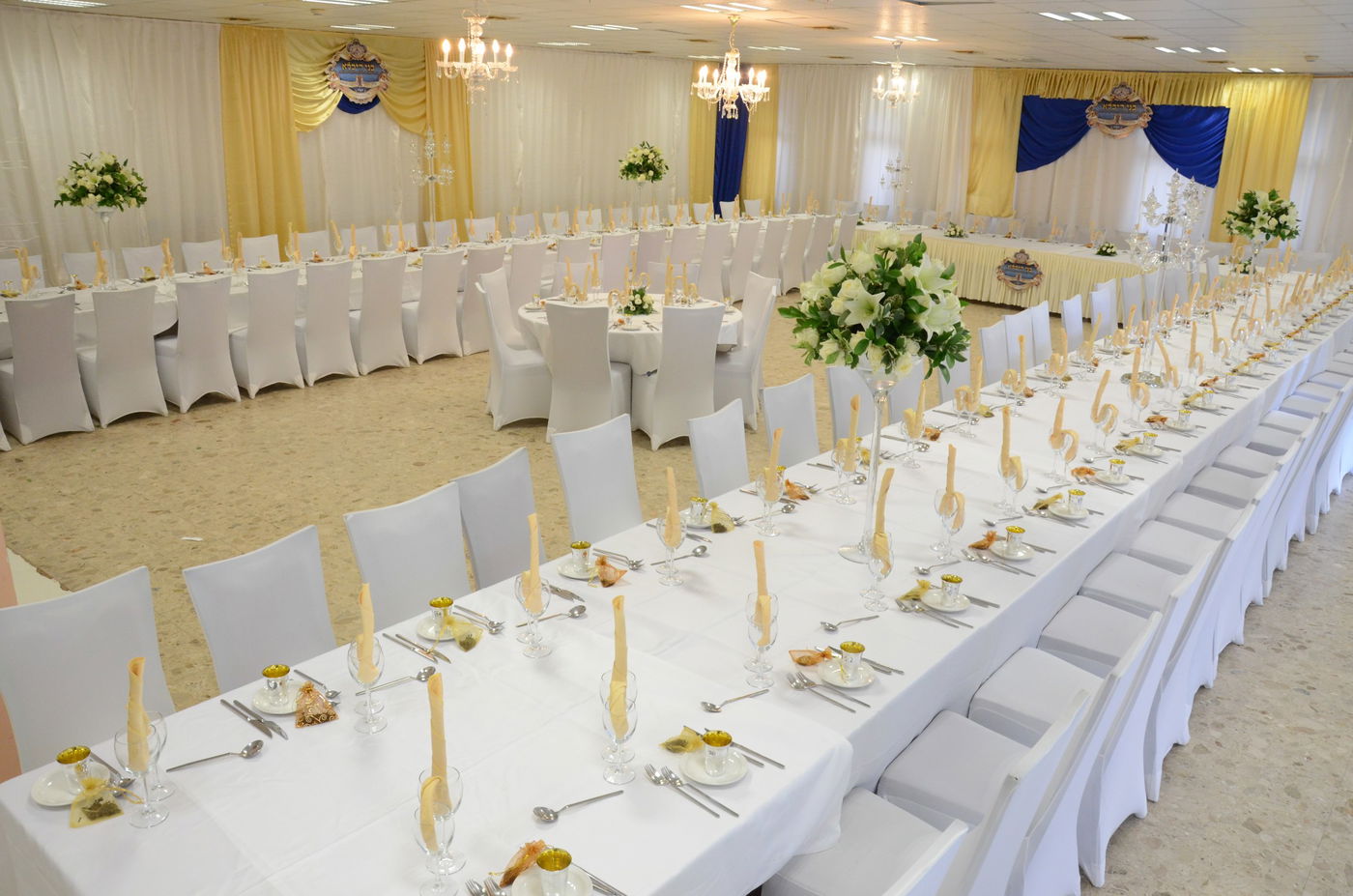 וועידת "בני היכלא" של צאנז • תיעוד