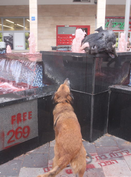 ראשים כרותים הוצבו בתל-אביב במחאה נגד המשחטות