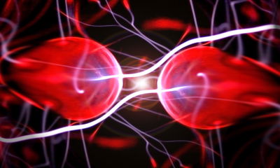 חלקיקים לפני התנגשות