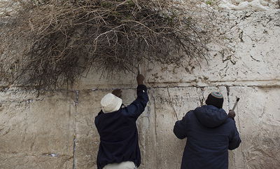 הכותל המערבי כשר לפסח • גלריה