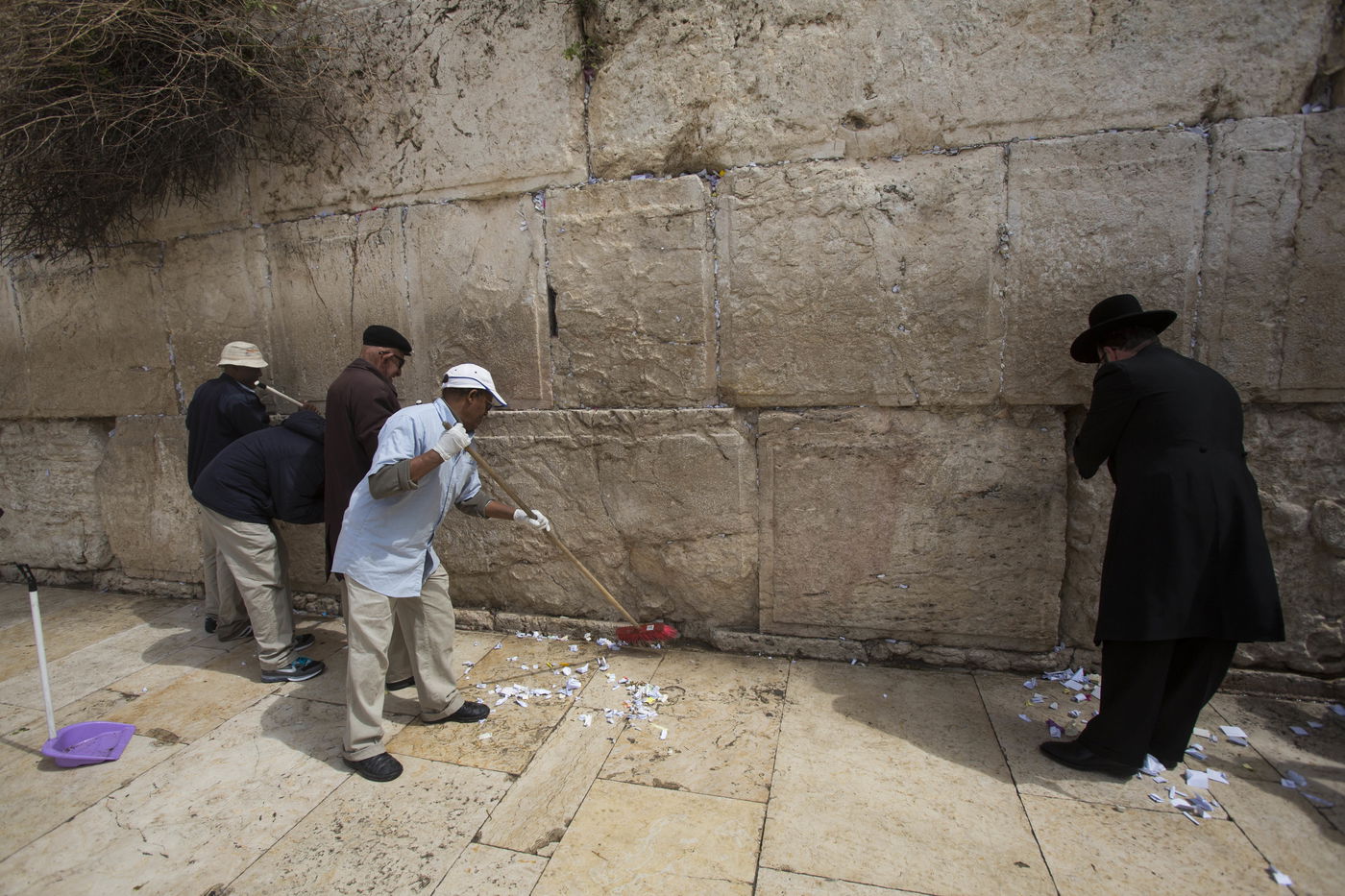 הכותל המערבי כשר לפסח • גלריה