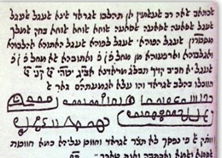 סגולה נגד ארבה