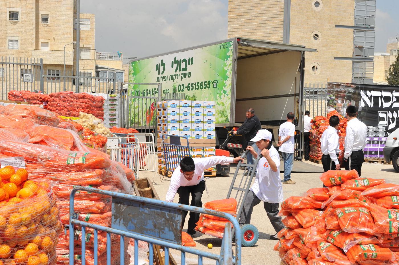 איזו חסידות היא שיאנית חלוקת "קמחא דפסחא"