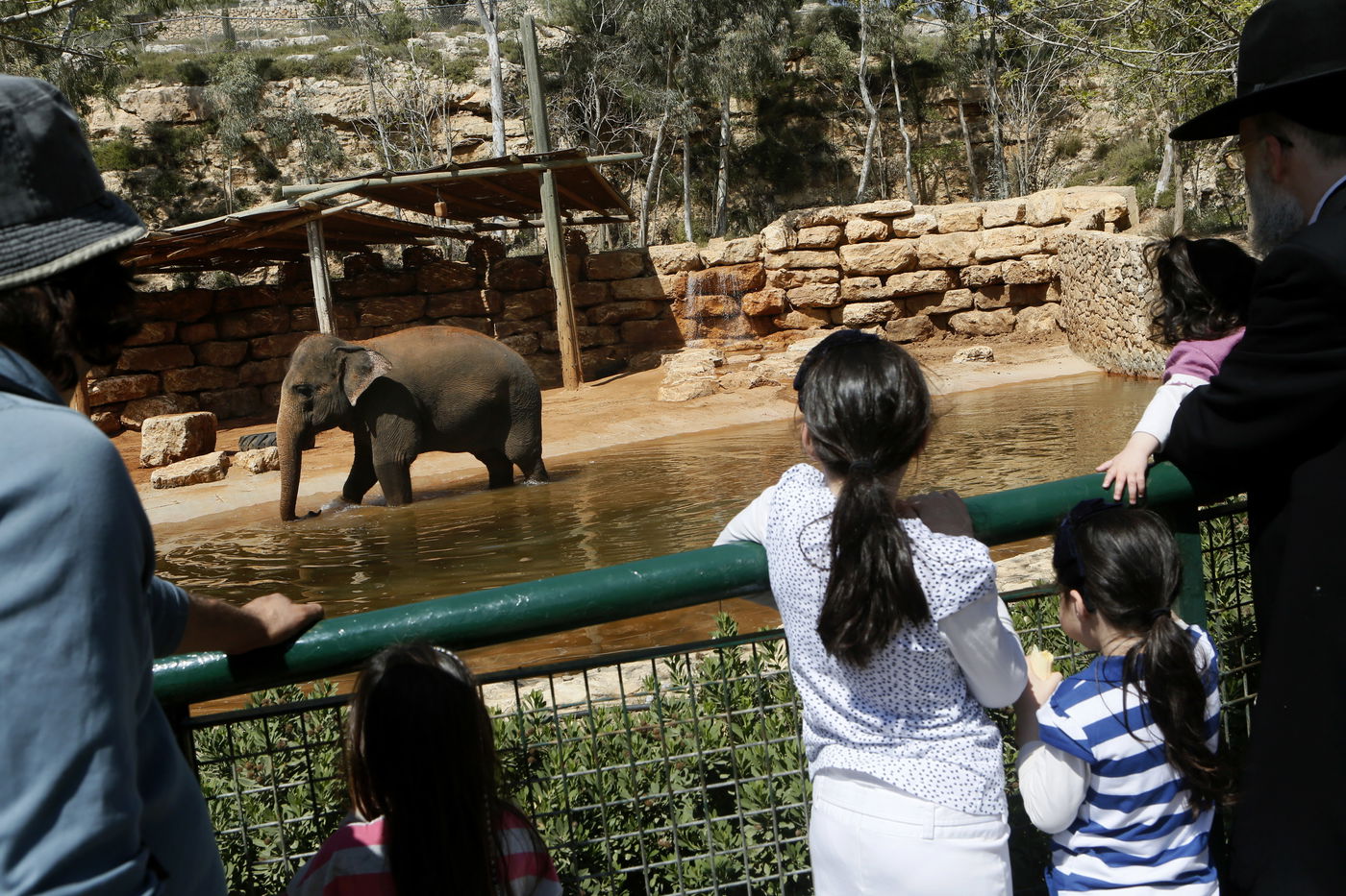 חול המועד: אלפים יצאו לבלות בפארקים • צפו בגלריה