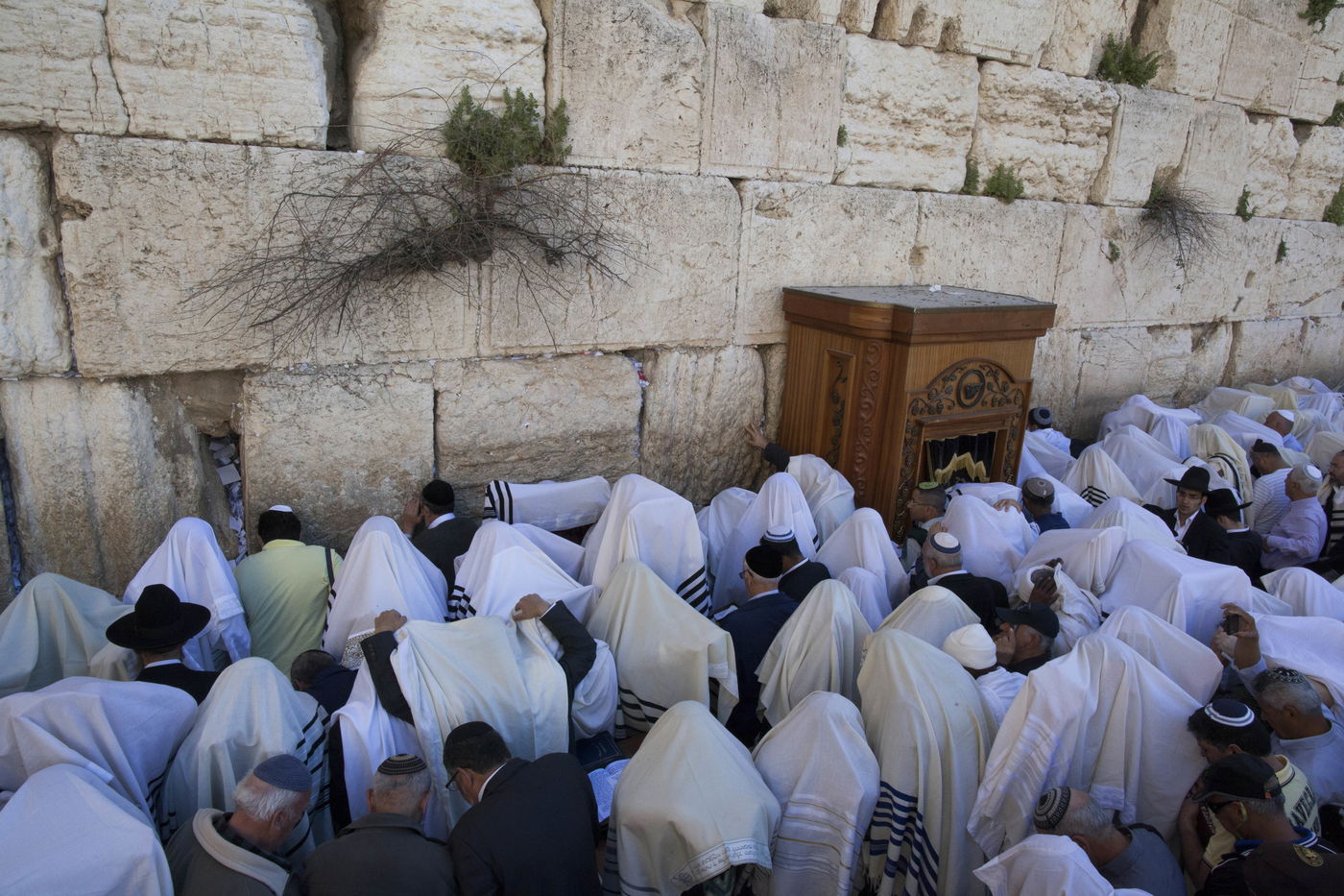 יְבָרֶכְךָ ה' וְיִשְׁמְרֶךָ • "ברכת הכהנים" בכותל המערבי