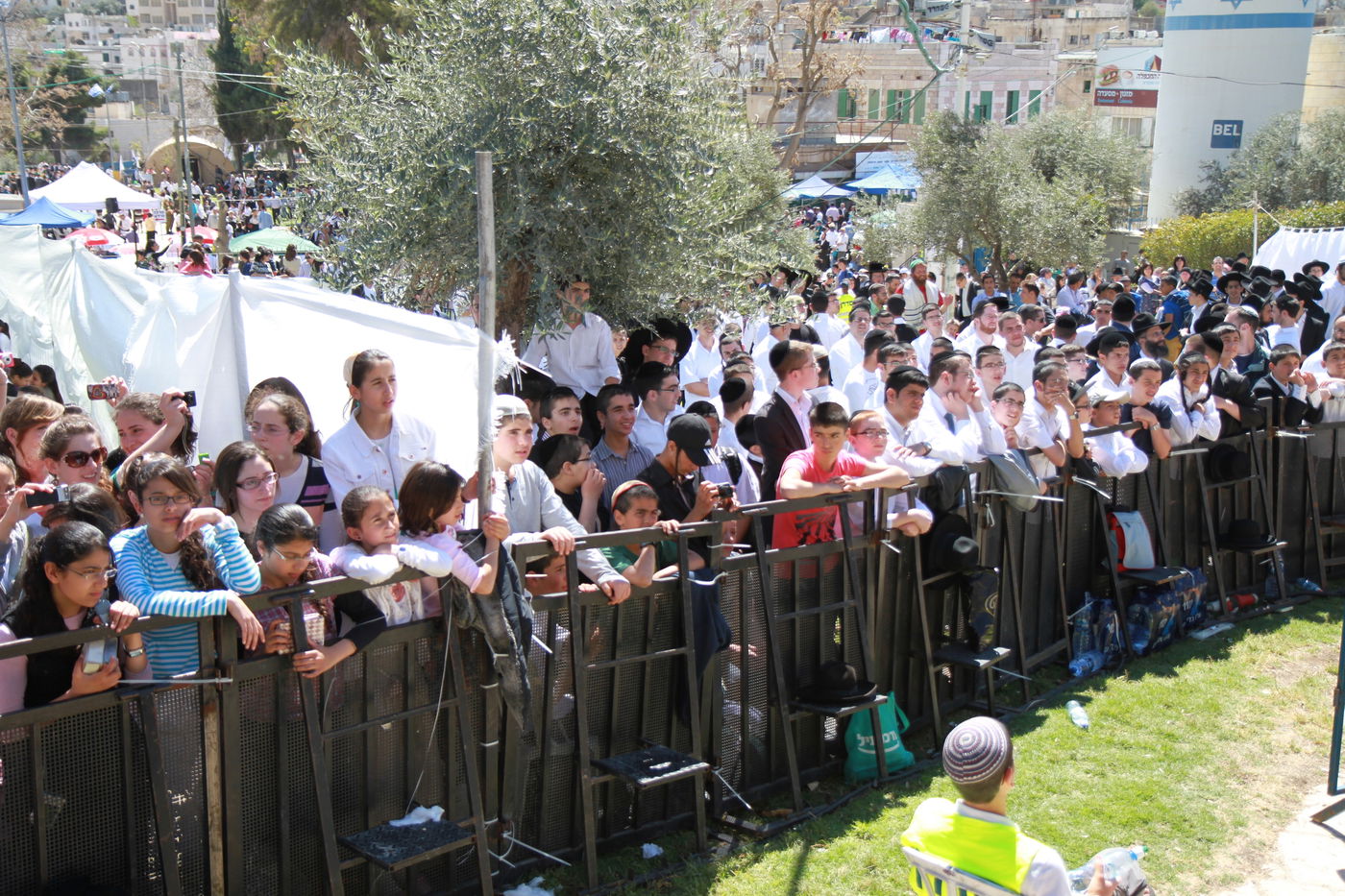 תיעוד ראשון: אלפים חוגגים בחברון